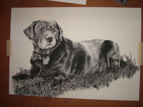 final update of portrait