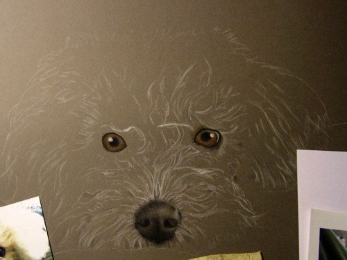 dog drawing