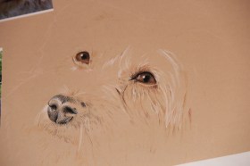dog pastel drawing portrait