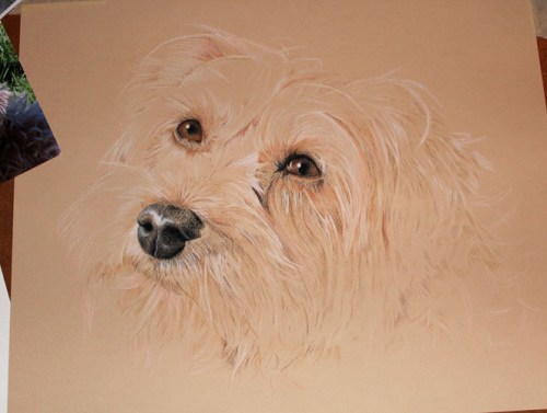 drawing dog pastel painting