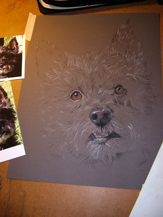 dog drawing pastel painting