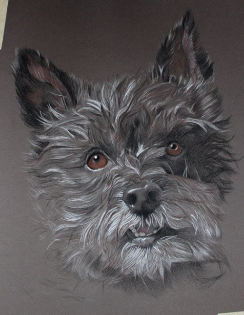 dog drawing painting