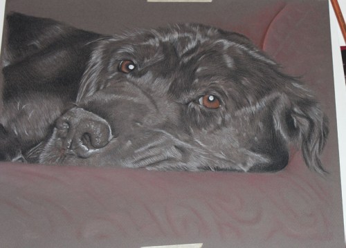 “Cole”, portrait update 7 ©2013 alecia goodman to present