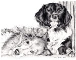 portrait drawing dogs