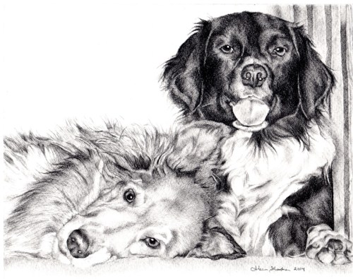portrait drawing dogs
