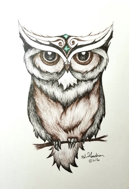 Ink drawing owl