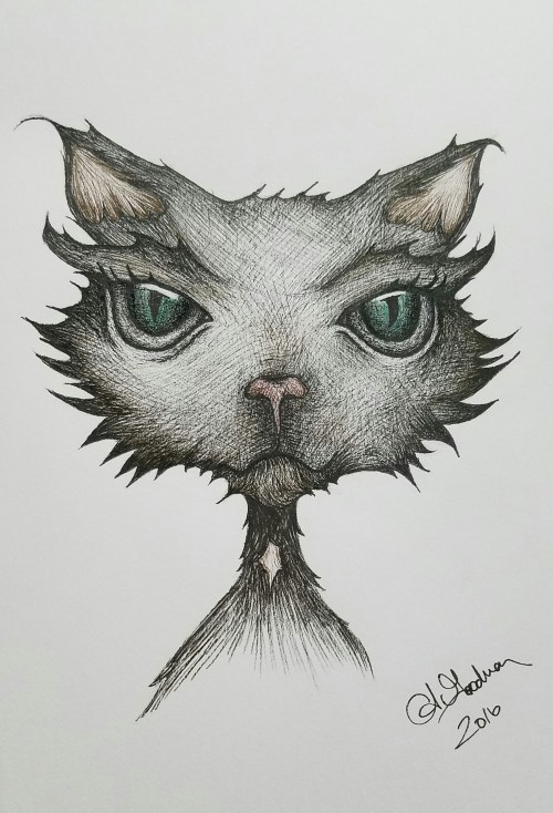 Ink drawing Cat
