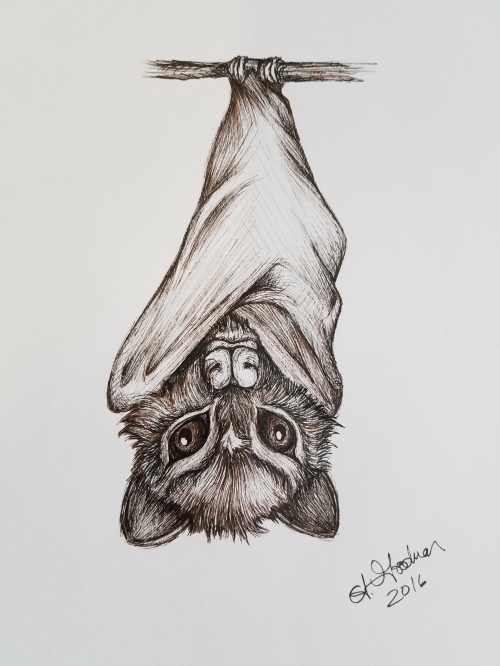 Ink drawing bat