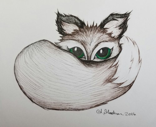 Fox ink drawing