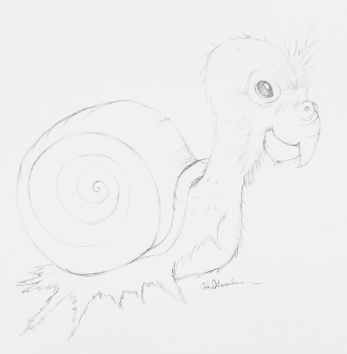 Sketch snail bird