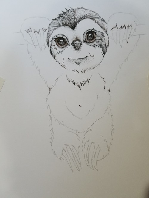 Cute ink drawing sloth