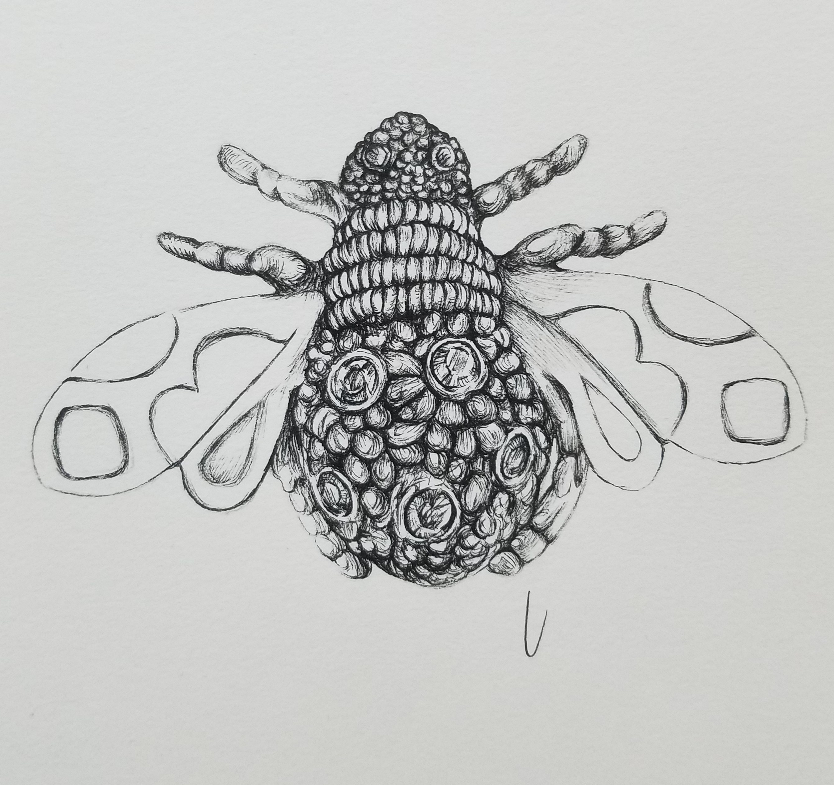 Queen Bee Brooch Ink drawing Work In Progress 2018 by alecia goodman