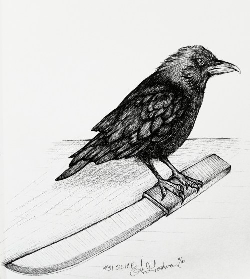 2018 Inktober Day 31 Slice ink drawing of raven standing on a knife by alecia goodman to present