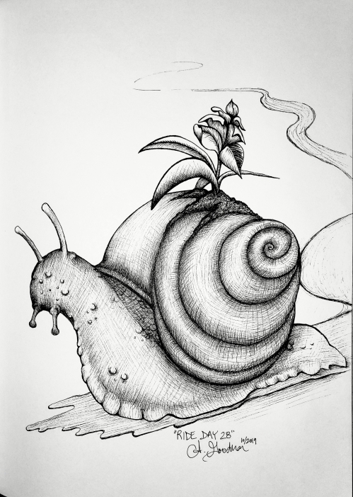 Ink drawing of snail with plant on shell by Alecia Goodman