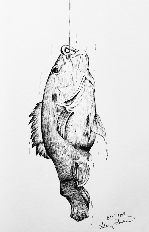 Fish Ink drawing by Alecia Goodman 2020 to present