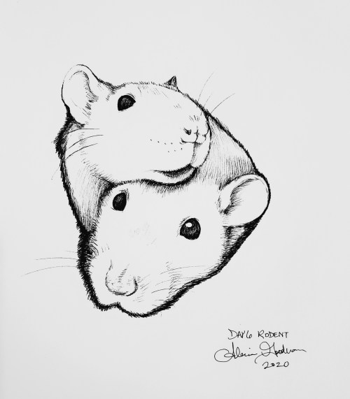 Inktober Day 6 Rodent ink drawing by alecia goodman 2020 to present