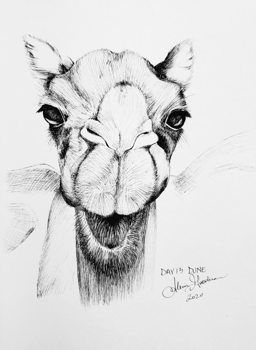 Inktober Day 13 Dune ink drawing of a camel and sand alecia goodman 2020 to present